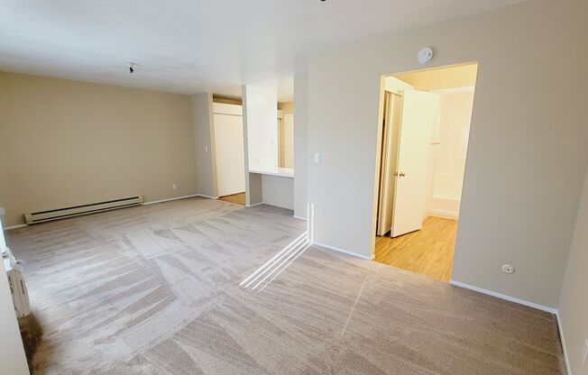 Studio, 1 bath, 500 sqft, $2,050, Unit 503