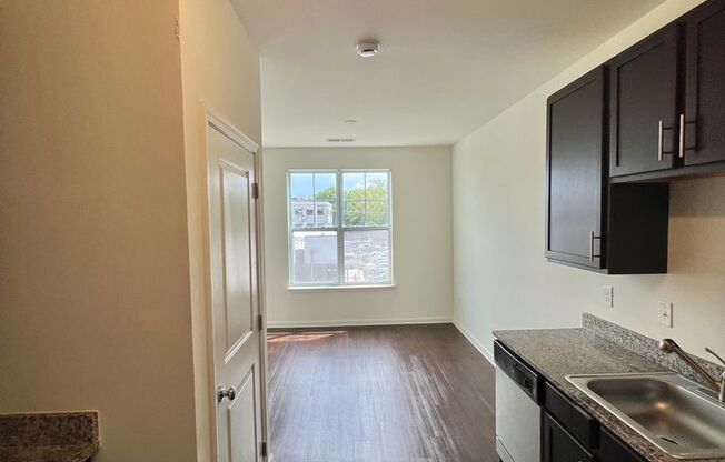 Studio, 1 bath, 466 sqft, $1,099, Unit 313