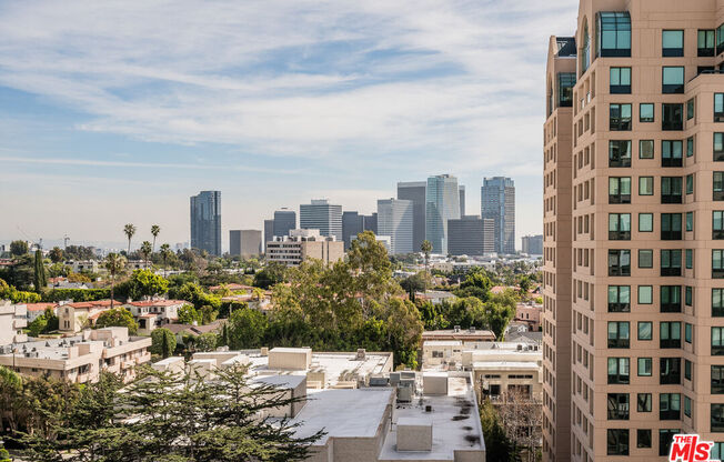 Studio, 1 bath, 600 sqft, $3,495, Unit 1012