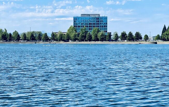 Studio, 1 bath, 346 sqft, $1,350, Unit 417-214