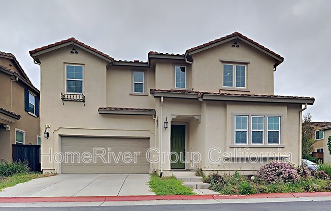 843 BLOSSOM ROCK LN