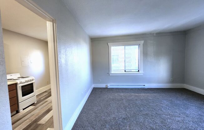 Studio, 1 bath, 425 sqft, $1,050, Unit 202