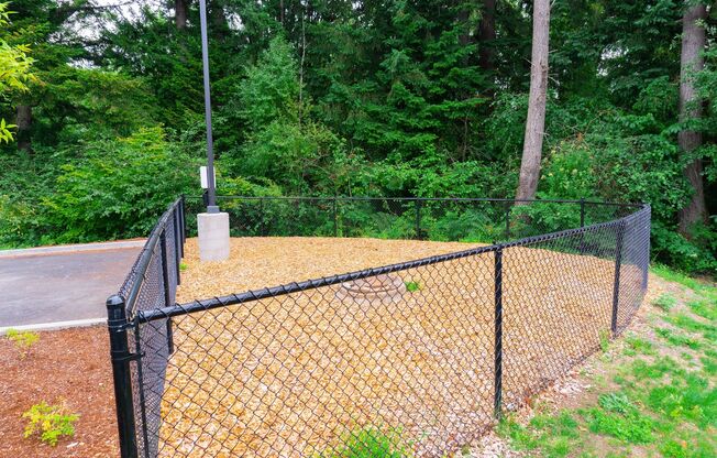 1 bed, 1 bath, 559 sqft, $1,415, Unit 333