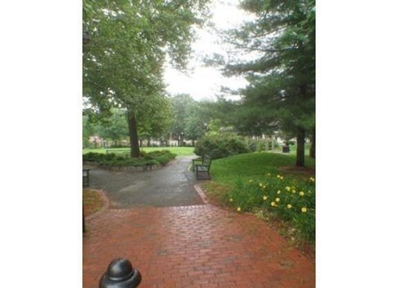 1 bed, 1 bath, 458 sqft, $3,200, Unit 17