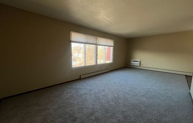 1 bed, 1 bath, 970 sqft, $970, Unit 310