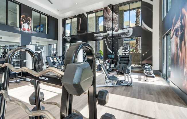 A gym with a variety of equipment including a weight machine and a treadmill.