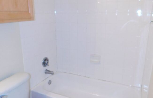 1 bed, 1 bath, $1,000