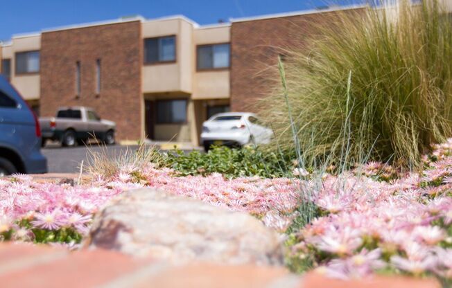 2 beds, 1.5 baths, 800 sqft, $1,055, Unit Unit 22