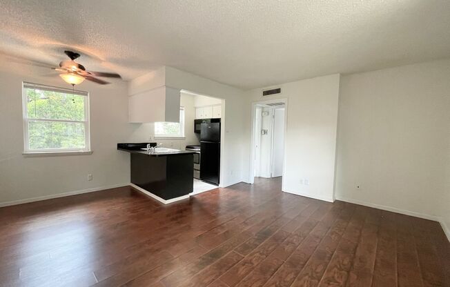 1 bed, 1 bath, 500 sqft, $995, Unit Live Oak 203 > CM