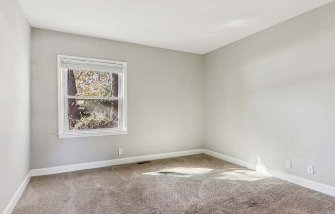A room with a window and carpet on the floor.