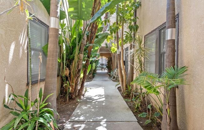 Studio, 1 bath, 320 sqft, $1,595, Unit 07