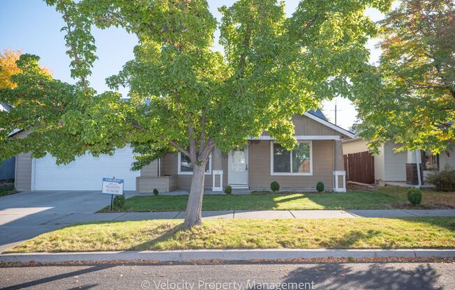 Light & Bright Single Level Home!