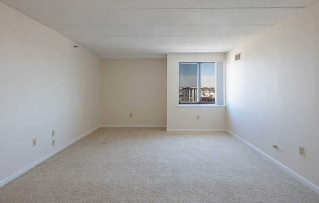 Carpeted Bedroom