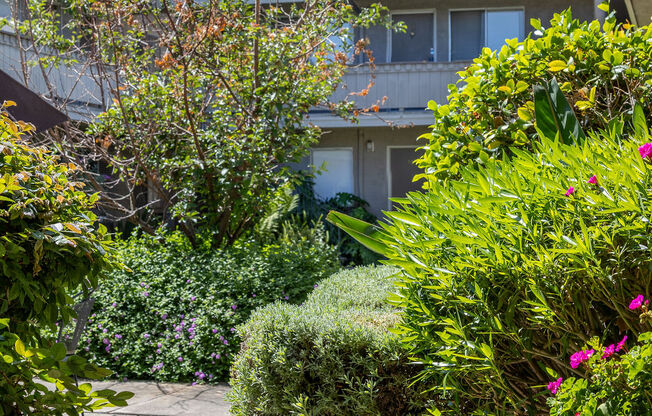 a view of a garden with a house in the background