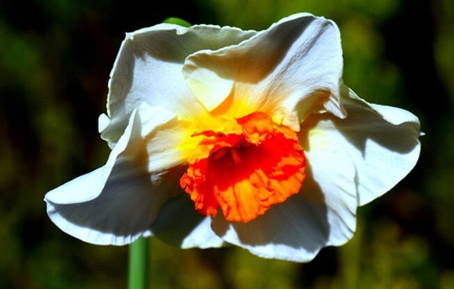 2 beds, 1 bath, 881 sqft, $975, Unit E24