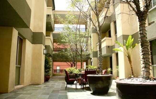 1 bed, 1 bath, 604 sqft, $2,900, Unit 215 P