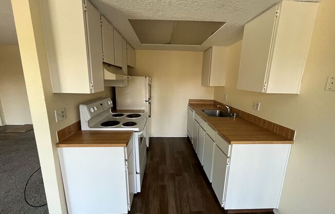 Twin Firs - 1 Bedroom - Lynnwood - Renovated Modern Apartments