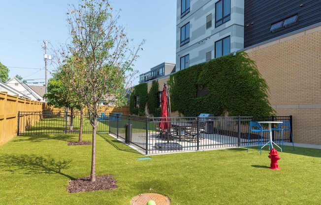 A tree in a yard with a red swing set.