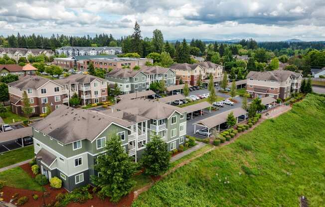 an aerial view of a neighborhood with houses and trees