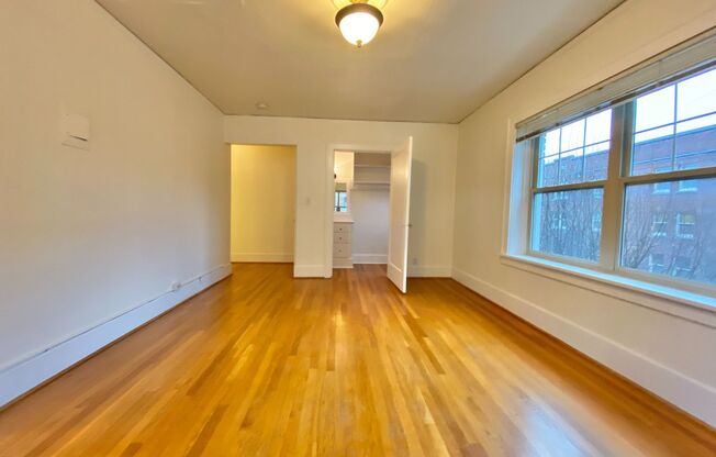 Studio, 1 bath, 365 sqft, $1,495, Unit 306