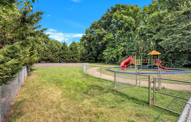 a park with a playground and a slide