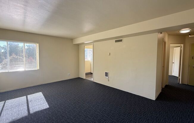1 bed, 1 bath, 548 sqft, $1,339, Unit 404 1040