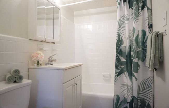 Studio, 1 bath, 350 sqft, $989, Unit O01