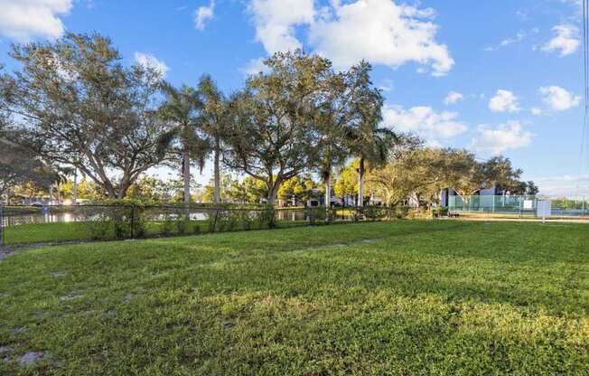 A grassy field with trees and a fence in the background.