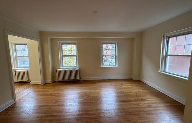 Studio, 1 bath, 301 sqft, $1,425, Unit Wellington 209