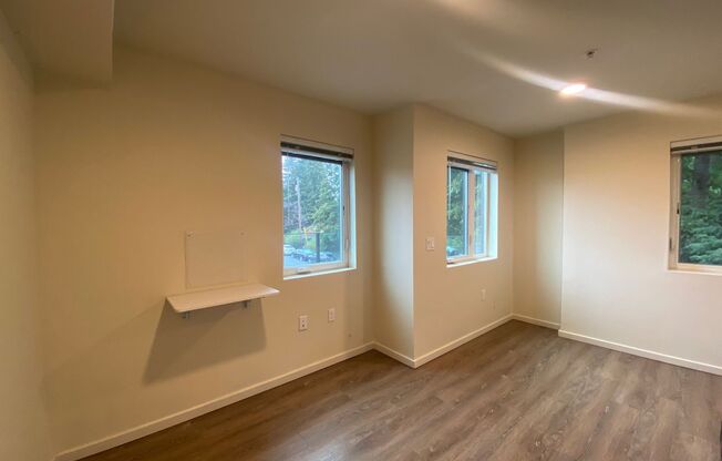 Studio, 1 bath, 178 sqft, $1,295, Unit 201