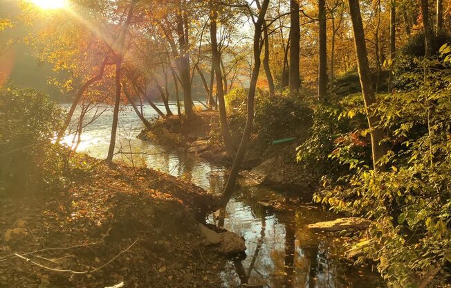 walton on the chattahoochee creek trails