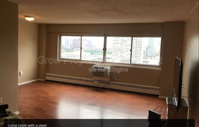 2101-17 CHESTNUT ST #620