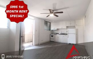 1408 Liliha St Apartment