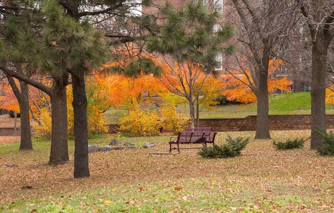 Yard at The Cambric Senior Apartments, St. Paul