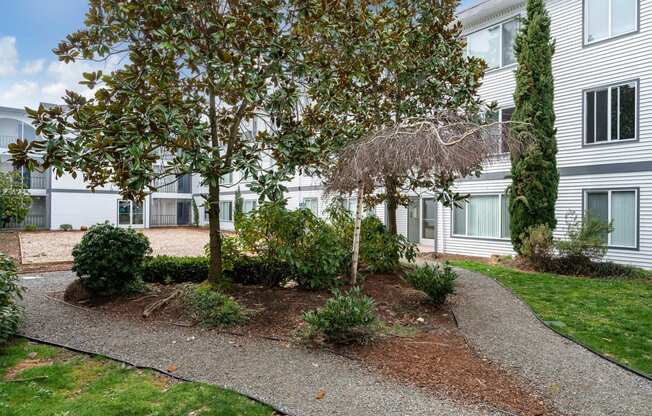 the front yard of a white house with a tree and a sidewalk