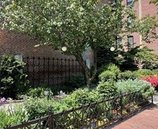 Studio, 1 bath, 419 sqft, $2,595, Unit B-3