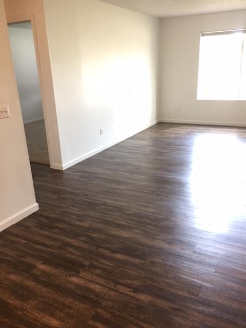 natural sunlight, bright white clean cabinets, wood flooring, premium countertops and appliances at regency apartments in Bettendorf Iowa