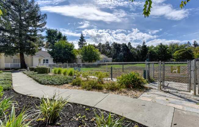 Community dog park/dog run which is fenced in with pedestrian walkway outside the park area. 