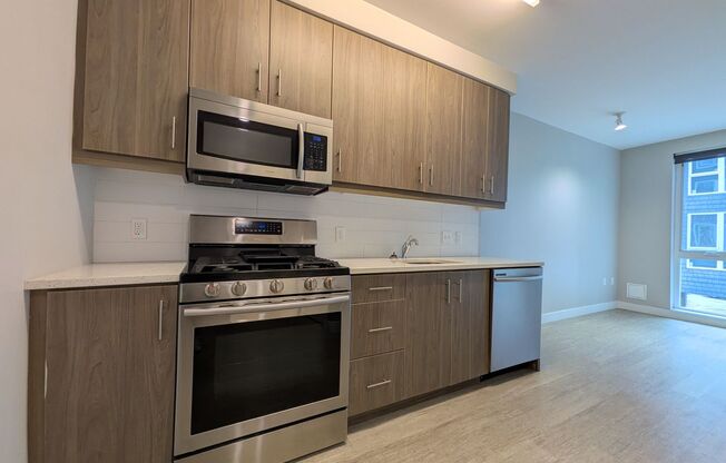 1 bed, 1 bath, 520 sqft, $1,350, Unit 201