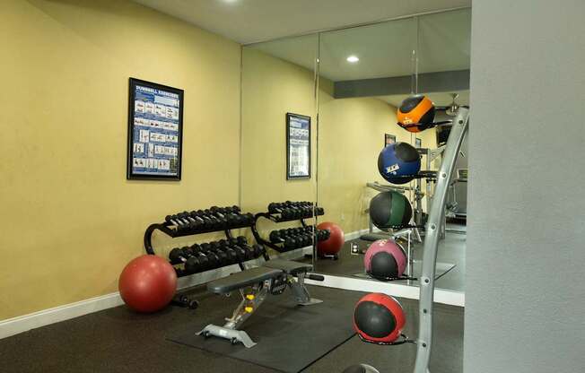 A gym with a red ball, a black ball, and a grey bench at Willow Creek Apartments, Houston, TX