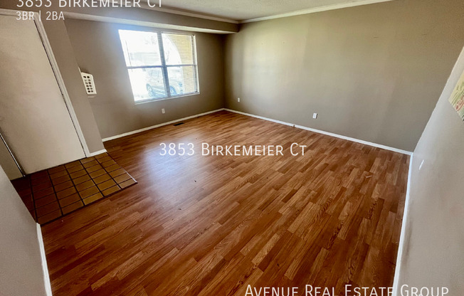 3853 BIRKEMEIER CT