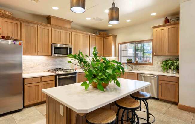 a kitchen with wooden cabinets and a large island with a potted plant