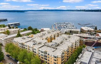 1Bed 1Bath DT Kirkland Condo Available for Rent!