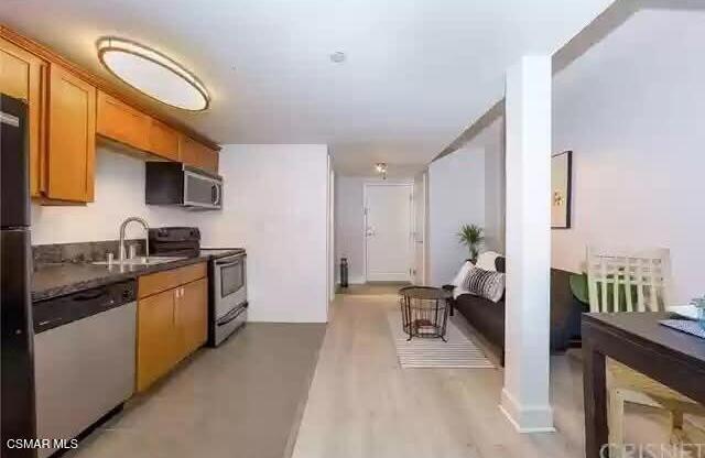 Studio, 1 bath, 352 sqft, $2,500, Unit 109