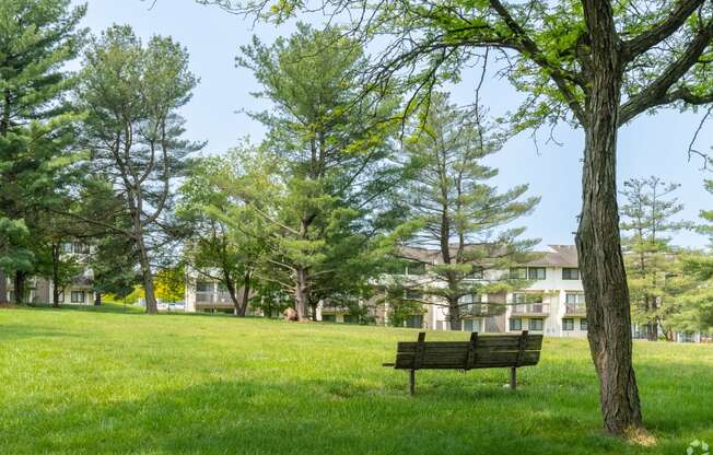 a park bench sitting in the grass next to a tree