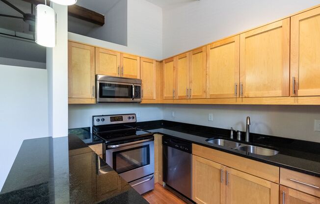 301 NORTH - Petersburg Loft Living