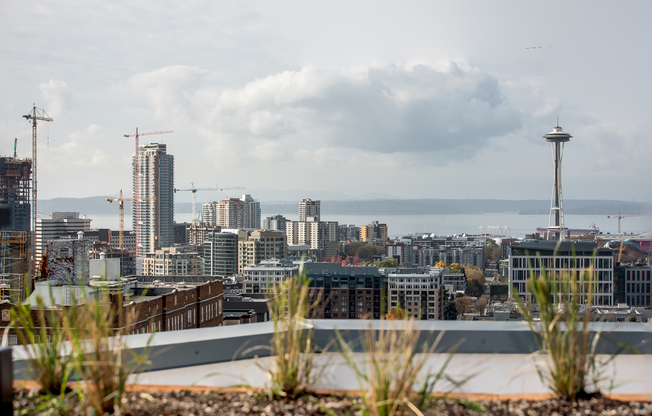 1 bed, 1 bath, 695 sqft, $2,495, Unit 314