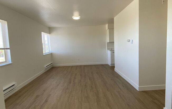 Studio, 1 bath, 405 sqft, $995, Unit Unit 310