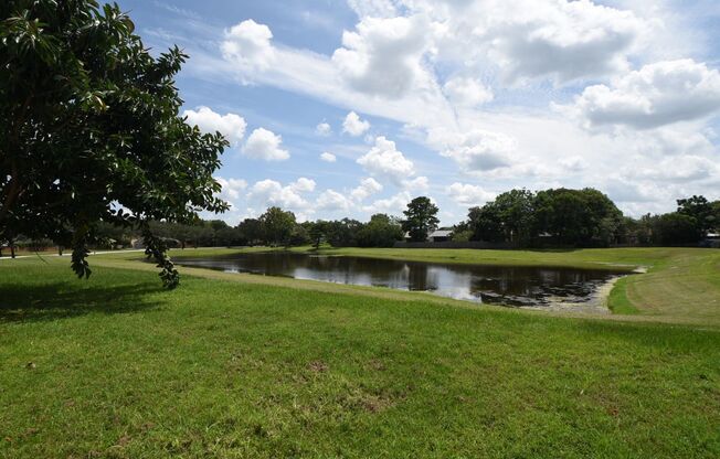 Beautiful Home in Alafaya Woods Totally Remodeled