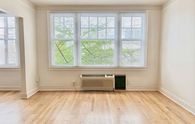 Studio, 1 bath, 467 sqft, $1,165, Unit 202